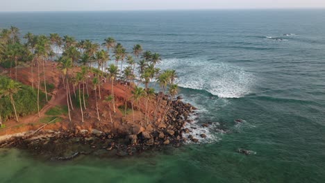 drone aerial view of coconut tree hill on mirissa waterfront on indian ocean, sri lanka
