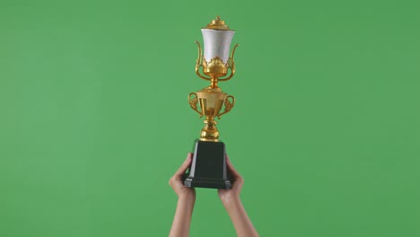 hands holding a golden trophy