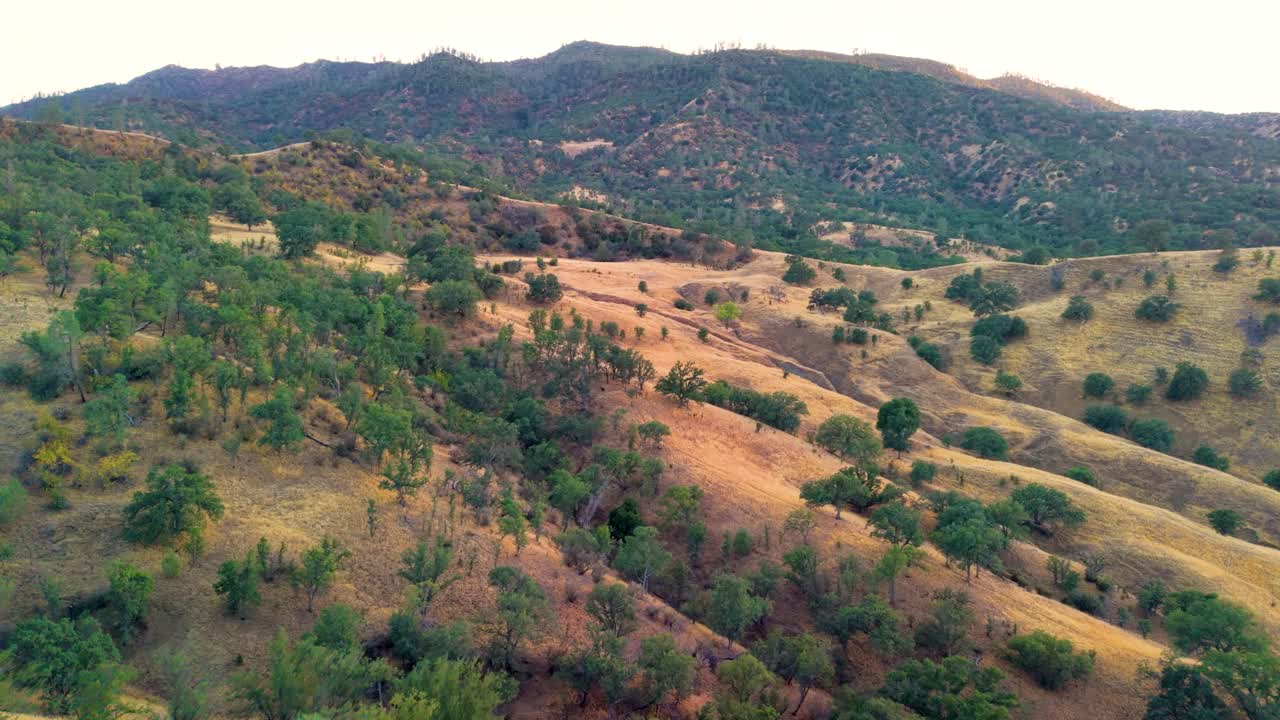 A cinematic drone flight over the wild, untamed hills of the American West. This footage captures the raw and natural beauty of the remote California wilderness
