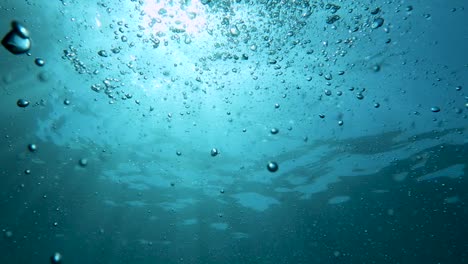 underwater bubbles float to the surface