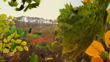 animación de hojas de otoño que caen sobre el paisaje