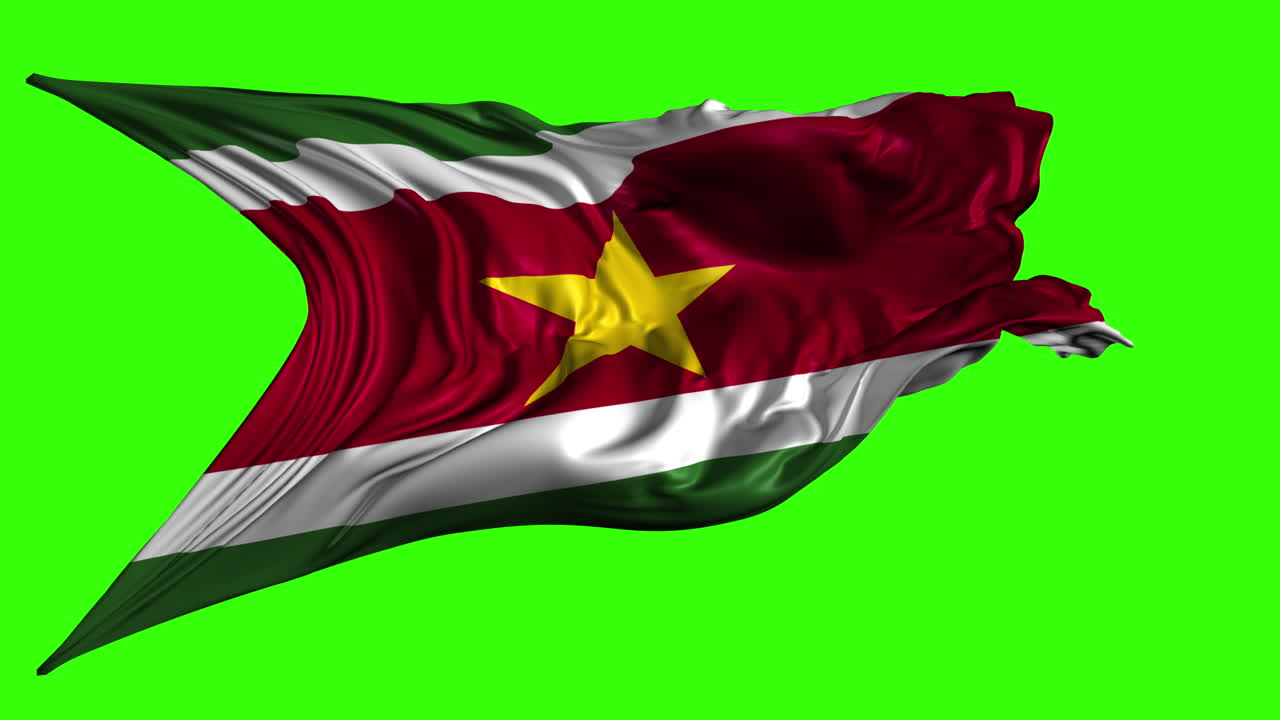 Bandiera del Suriname