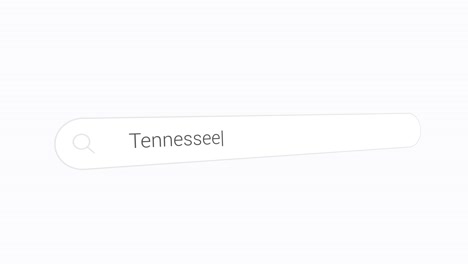 entering tennessee on the search box - the volunteer state.