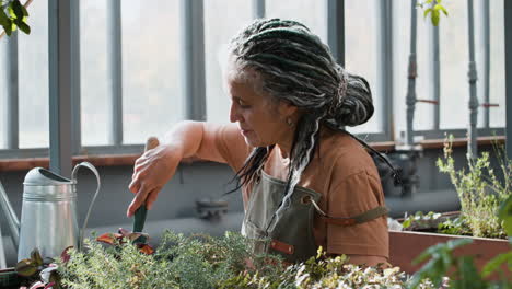 gardener working indoors