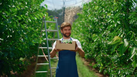 imprenditore agricoltore di ciliegie mostra scatola di cibo biologico nel frutteto del giardino.