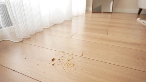 crumbling cookies on hardwood floors