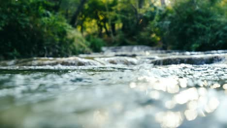 half half underwater shot of natural spring water flowing over rocks in forest