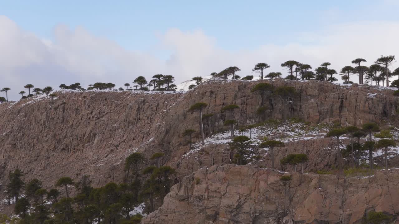Snow-covered mountains emerging behind rocky cliffs with Araucaria trees in Caviahue-Copahue, Neuquén, Argentina