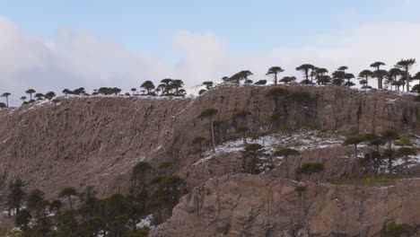 snow-covered mountains emerging behind rocky cliffs with araucaria trees in caviahue-copahue, neuquén, argentina
