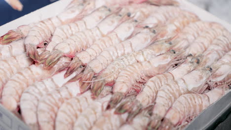 frozen shrimp arranges and display on tray with ice at a seafood restaurant