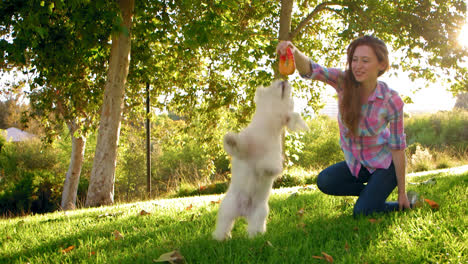 Frau-Spielt-Mit-Weißem-Hund-Im-Park