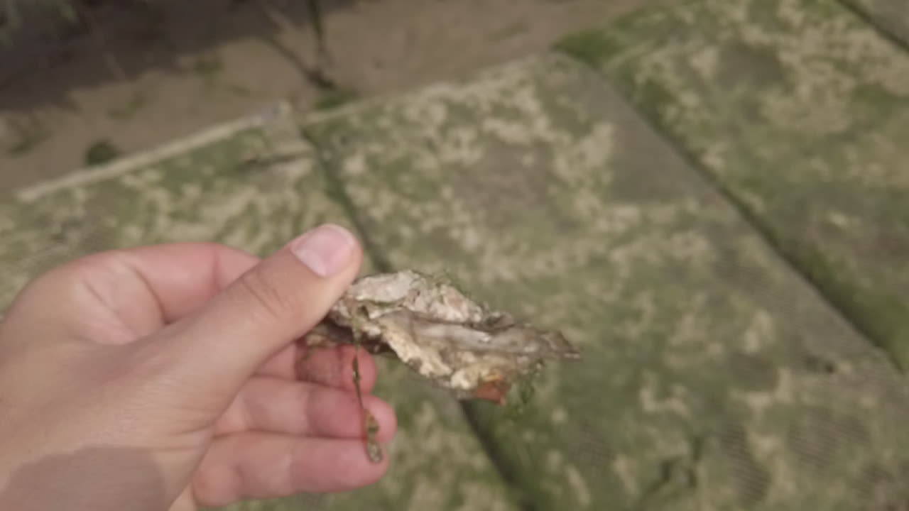 굴 양식장, 어린 굴이 들어있는 봉투 앞에서 굴을 손으로 만지는 모습, 주관적 시선