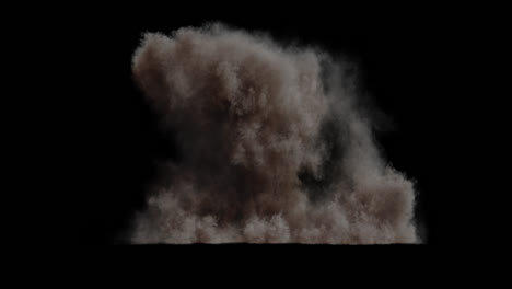 dust explosion