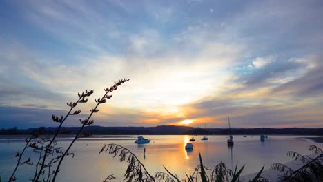 sunset at calm lake whakatane in new zealand with boats anchored