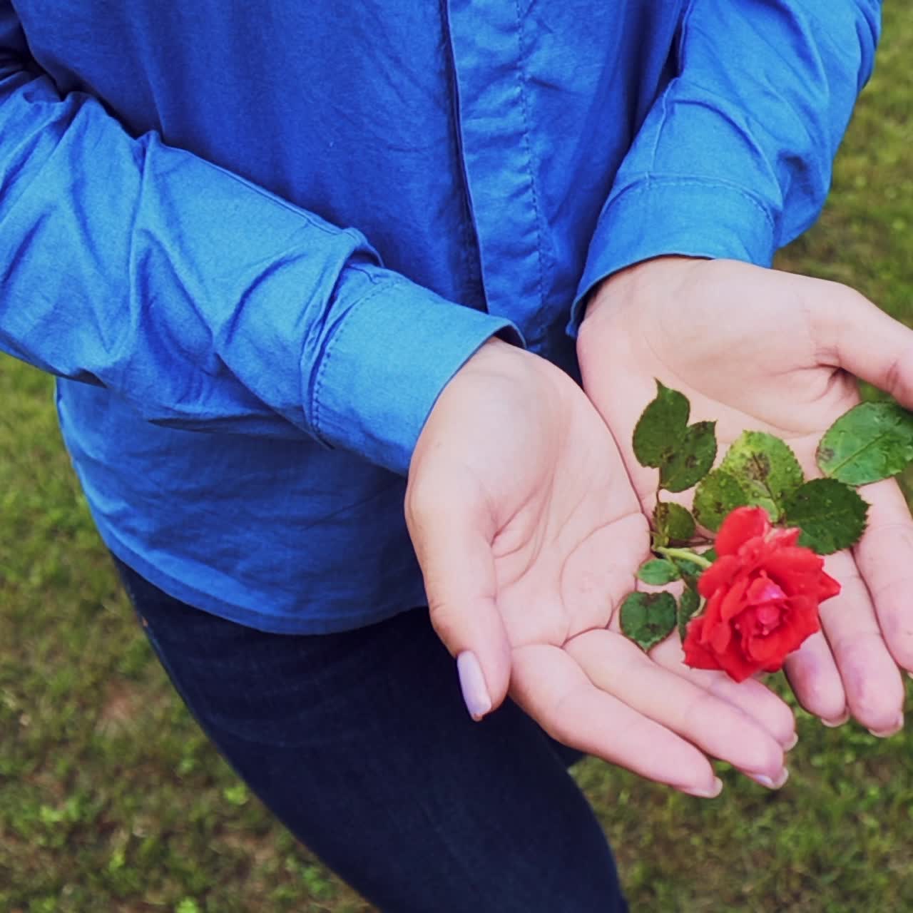 Woman holding a red rose in her hands