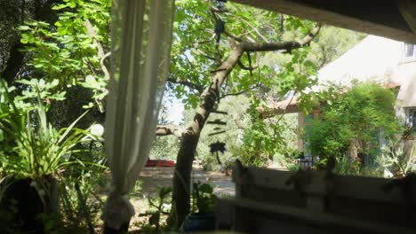 charming garden scene with sunlight filtering through trees and a cozy mediterranean-style house in the background