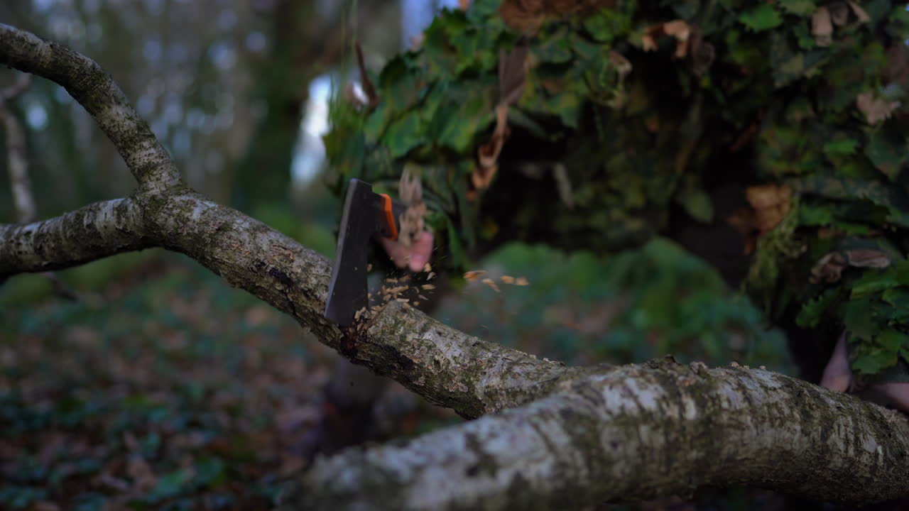 Uomo in mimetica taglia un ramo d'albero nella foresta con un'ascia per legna da ardere all'aperto.