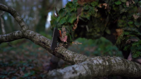 el hombre camuflado corta la rama de un árbol en el bosque con un hacha para leña al aire libre