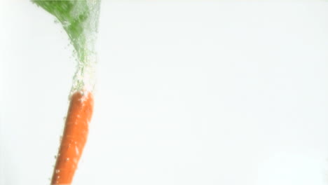 delicious carrot in super slow motion falling