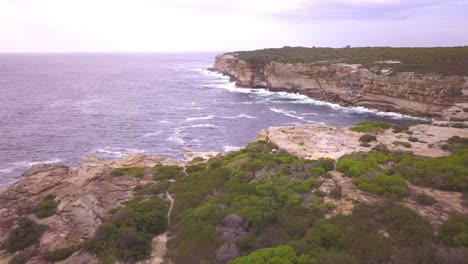 Drone-video-footage-fly-over-a-small-green-bushy-forest-next-to-cliff-near-pacific-ocean-in-Sydney-beach,-Australia