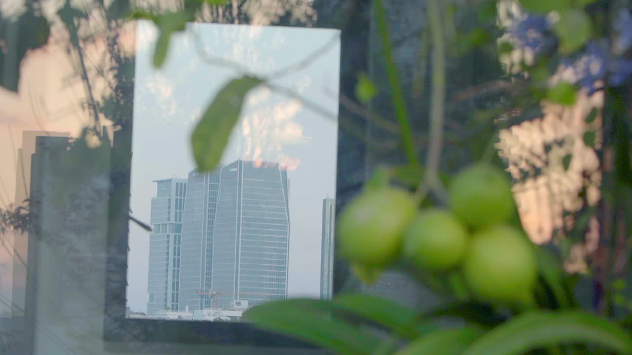 In the mirror's reflection, tall glass skyscrapers stand prominently, with a lemon tree in the foreground