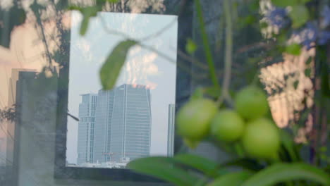 in the mirror's reflection, tall glass skyscrapers stand prominently, with a lemon tree in the foreground