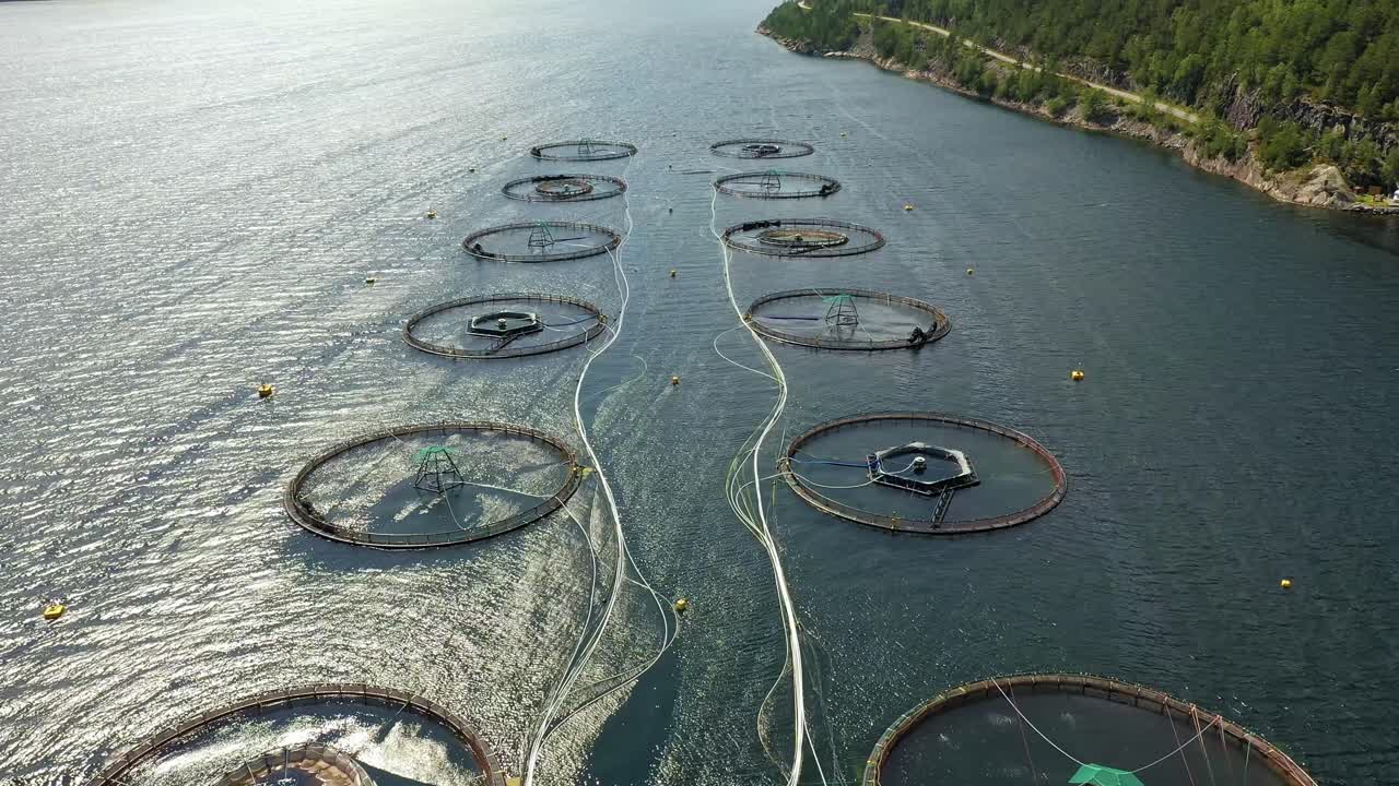 노르웨이에서 연어  ⁇ 시를 하는 공중 촬영