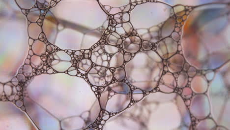 macro soapy water surface bubbles reflect light causing