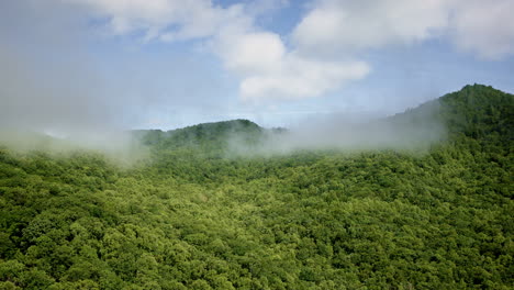 drone capture of the smoky mountains bathed in morning mist
