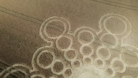 vista aérea iluminada por el sol mirando hacia abajo sobre beauworth 2023 círculo de cultivos patrón atómico en hampshire campo de trigo tierras de cultivo