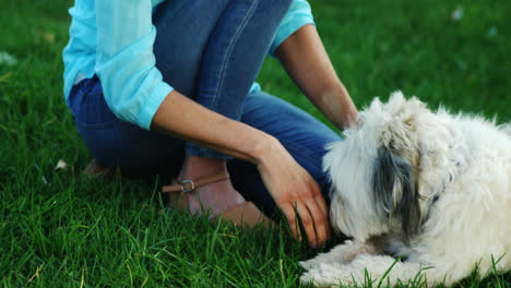 Frau-Spielt-Mit-Ihrem-Hund-Im-Park