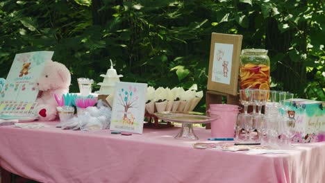 pink table with candies, food bar at gender reveal party outside