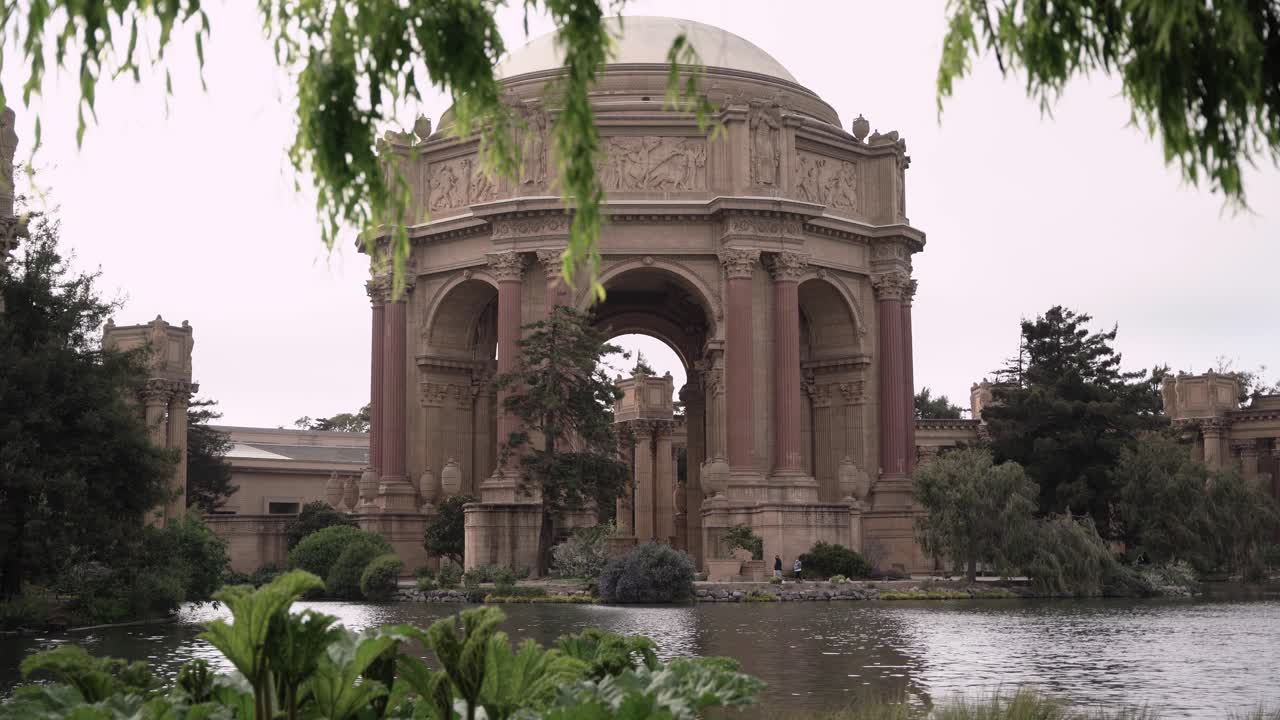 pájaros volando junto al lago del museo de arte