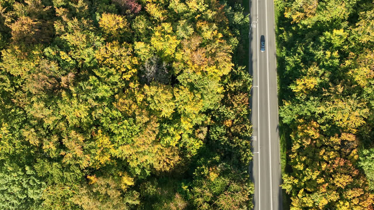 Top-down aerial shot of a single car on a road amidst dense autumn forest with yellow and green leaves