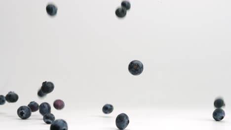 Blueberries-falling-and-bouncing-in-slow-motion-onto-white-studio-backdrop-in-4k