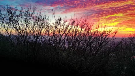 Brillante-Puesta-De-Sol-Naranja-Ardiente-Detrás-De-Una-Silueta-De-árboles-Sin-Hojas