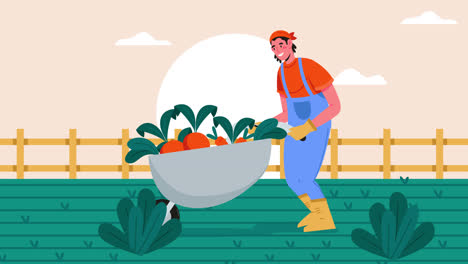 farmer harvesting vegetables