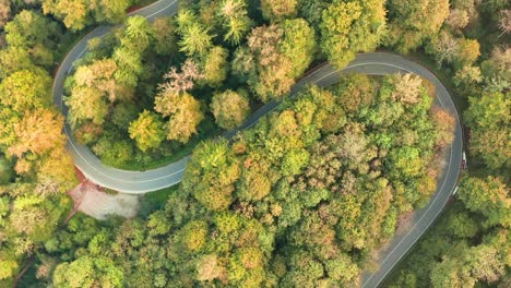 Lapso-De-Tiempo-De-Conducción-De-Automóviles-En-Un-Bosque-De-Otoño-En-Una-Curva-Doble---Viajar-En-La-Temporada-De-Otoño