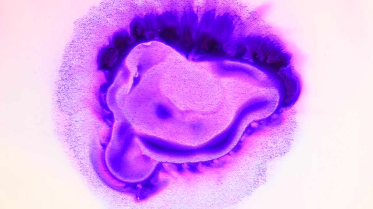 se realizan las circunvoluciones púrpura y plink