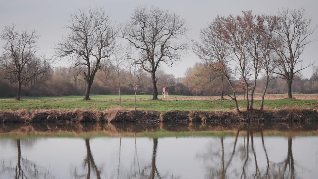 푸른 라베 강변에 잎없는 나무와 함께 봄의 장면, 그들의 반사물은 평온한 물에 반사됩니다.