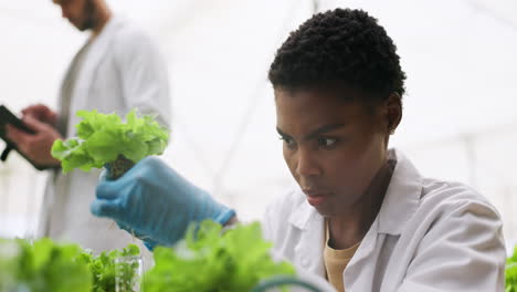 Plants,-sustainable-and-woman-scientist