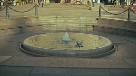 pigeon perches on the edge of small fountain in josip jelačić square under sunny sky