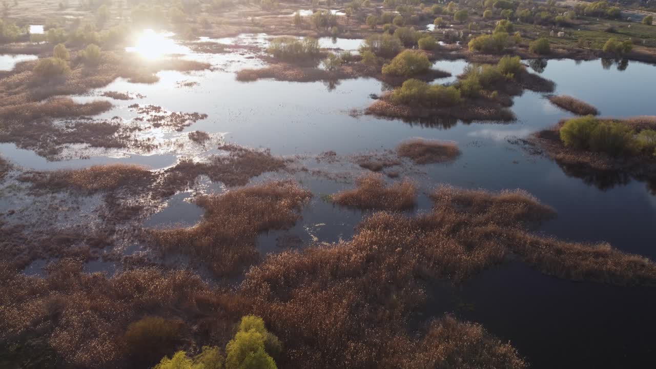 Vista aerea della vegetazione del delta. La luce del sole si riflette sull'acqua