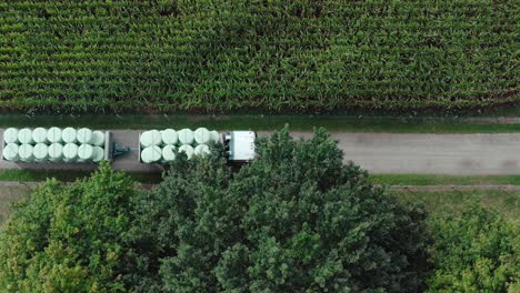 truck moving silage bales on rural road beside corn field, top down aerial