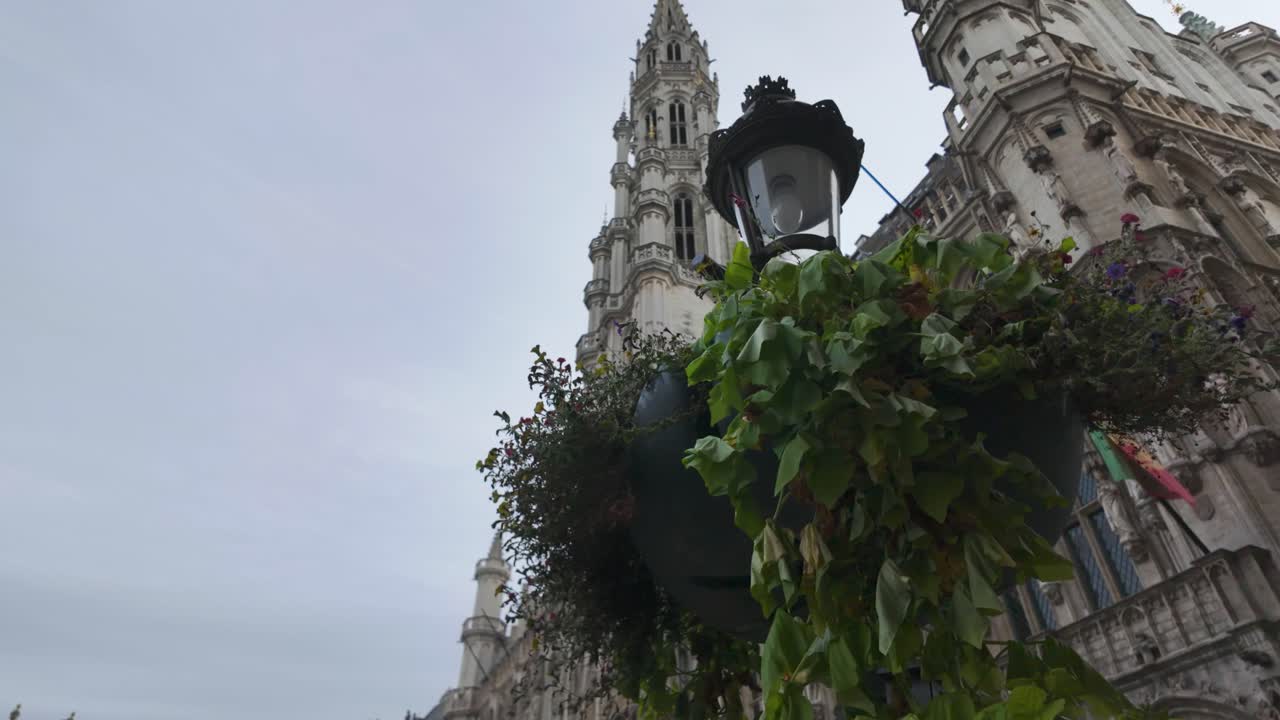 A tall Gothic tower and greenery decorate Brussels Town Hall in Belgium, Europe