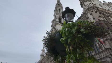 a tall gothic tower and greenery decorate brussels town hall in belgium, europe