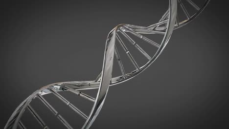 DNA-Doppelhelix--Und-Molekülmodelle