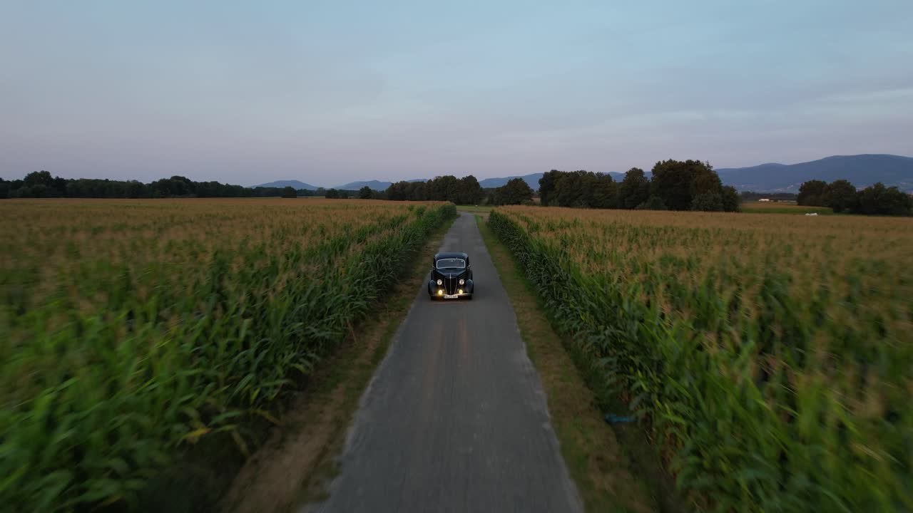 윈테이지 자동차는 해가 지는 옥수수 을 가로질러 가는 도로를 운전합니다.