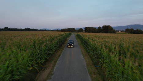 Vintage-car-drives-on-a-road-leading-through-a-corn-field-in-the-sunset