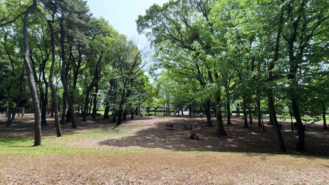 Green park scene with trees, benches, and peaceful surroundings in Roka Kosyuen Park, Tokyo